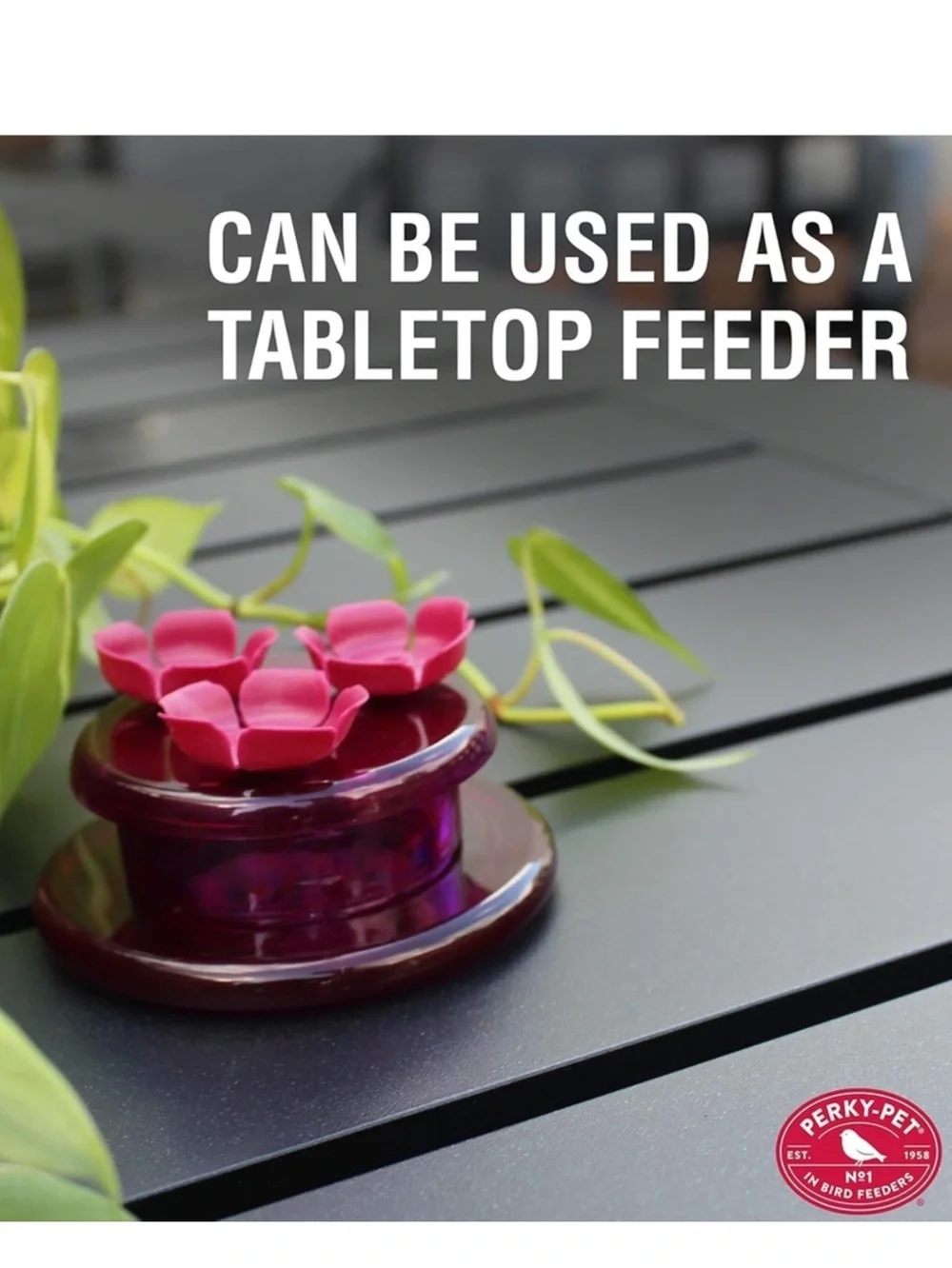 NIB | Perky-Pet | Hummingbird Plastic Handheld Nectar Bird Feeder | 3-Ports 2 oz